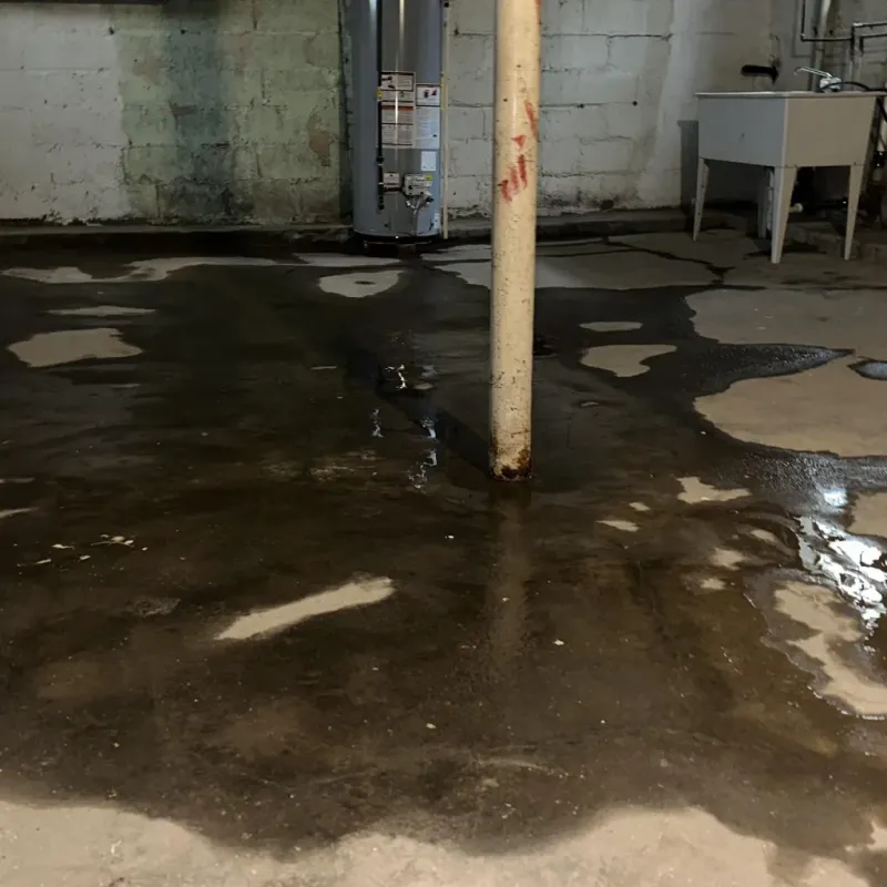 Emergency Water Extraction And Removal in Parks, AZ